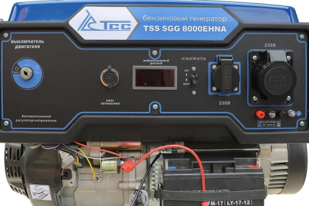 Бензиновый генератор ТСС SGG 8000EHNA в кожухе МК-1.1 Бензиновый генератор ТСС SGG 8000EHNA в кожухе МК-1.1 фото