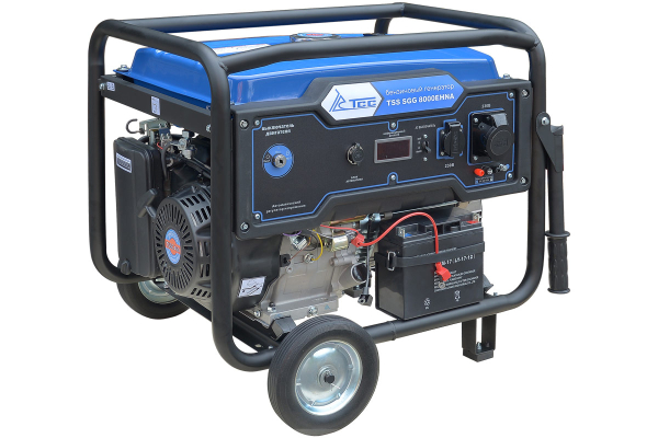 Бензиновый генератор ТСС SGG 8000EHNA в кожухе МК-1.1 для газового котла фото