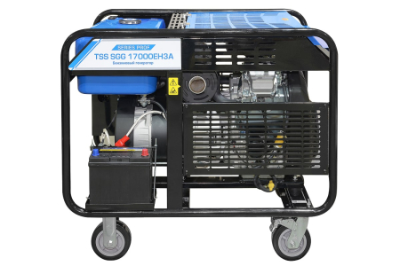 Бензиновый генератор ТСС SGG 17000EH3A фото