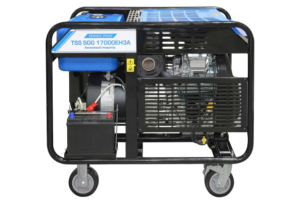 Бензиновый генератор ТСС 190075 SGG 17000EH3A фото