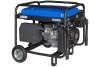 Бензиновый генератор ТСС SGG 6000EH3NA фото